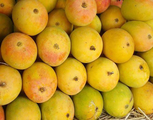 Why Buy Mangoes from The House of Konkan?