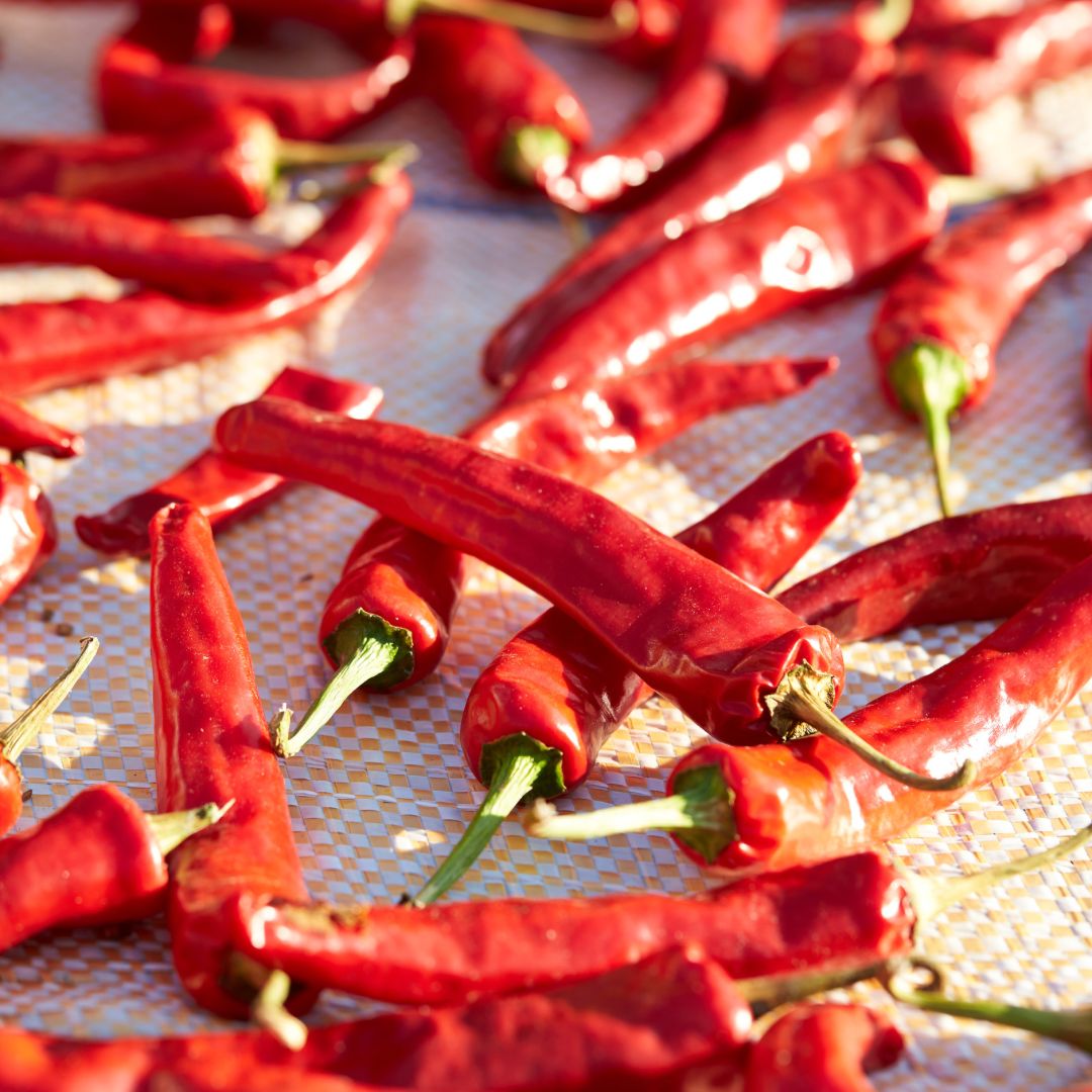 Dried Chillies